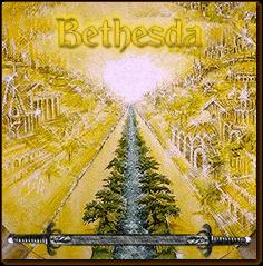 Bethesda : Walking Through the World